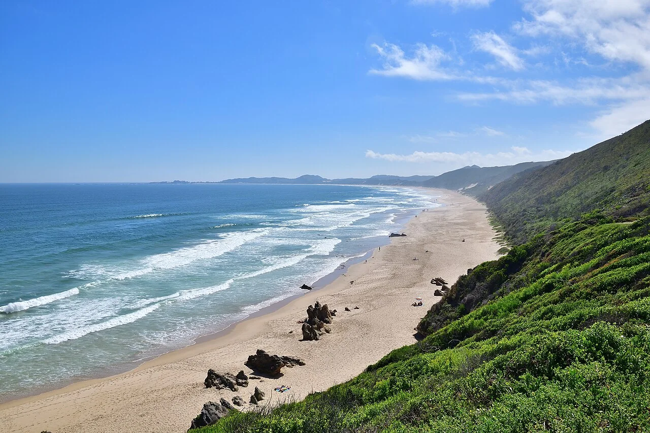 Brenton-on-Sea beach curving toward the Western Head near Knysna, long sand backed by fynbos cliffs, South Africa