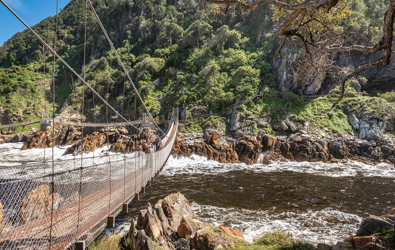 Hikers on the suspension bridge over Storms River mouth, Tsitsikamma National Park, indigenous forest and rocky gorge below