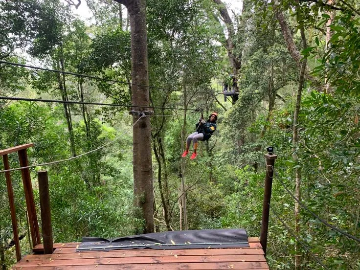 A rider coming in along a cable towards a wooden platform between tall forest trees