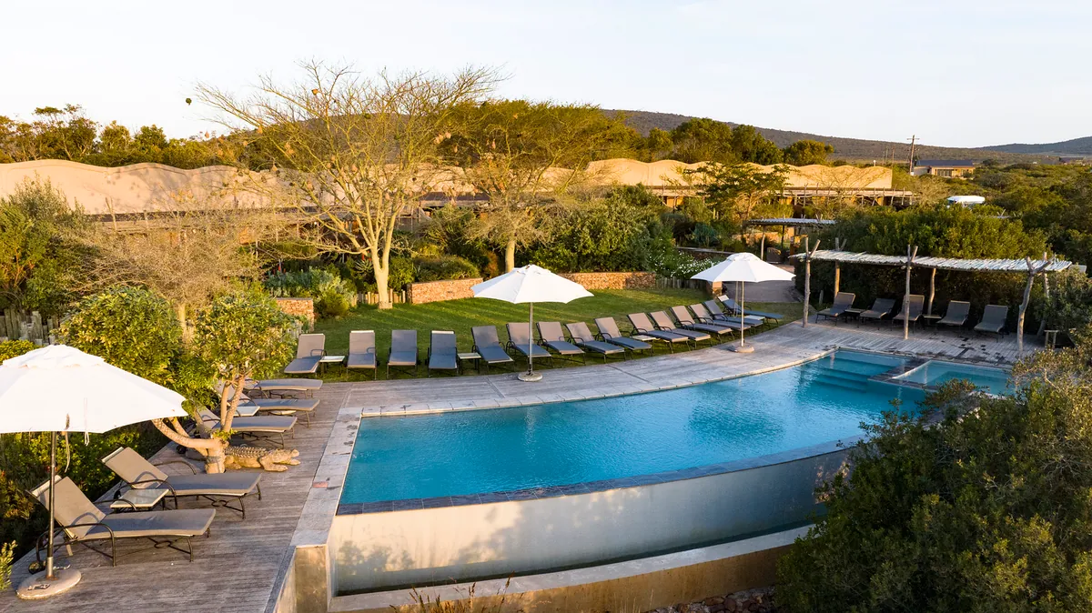 Pool deck with loungers and umbrellas at Garden Route Game Lodge, lodge buildings and bush behind