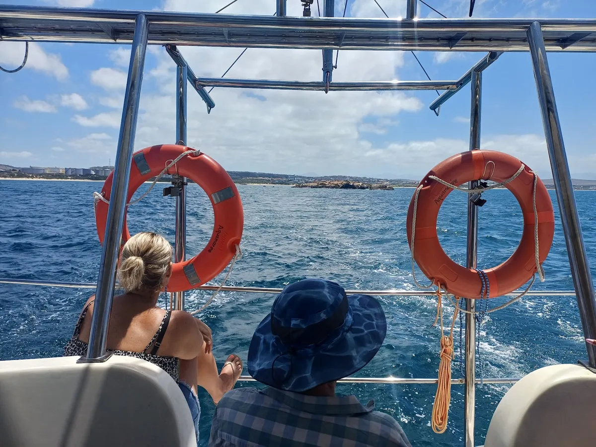 Passengers on a Romonza boat trip looking out towards Seal Island off Mossel Bay harbour