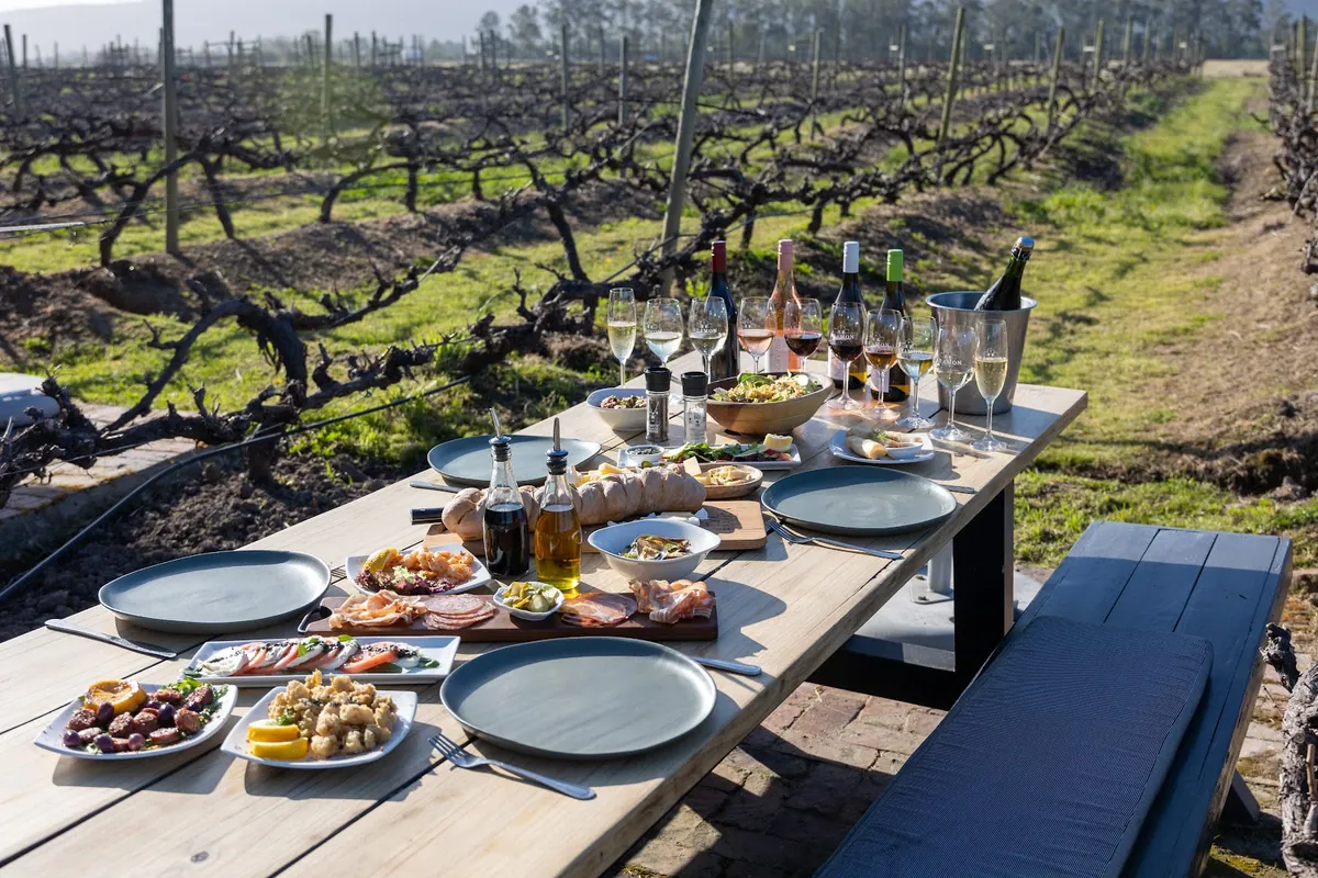 Long wooden table laid with sharing platters and wine glasses between rows of dormant vines at Bramon Wine Estate, The Crags