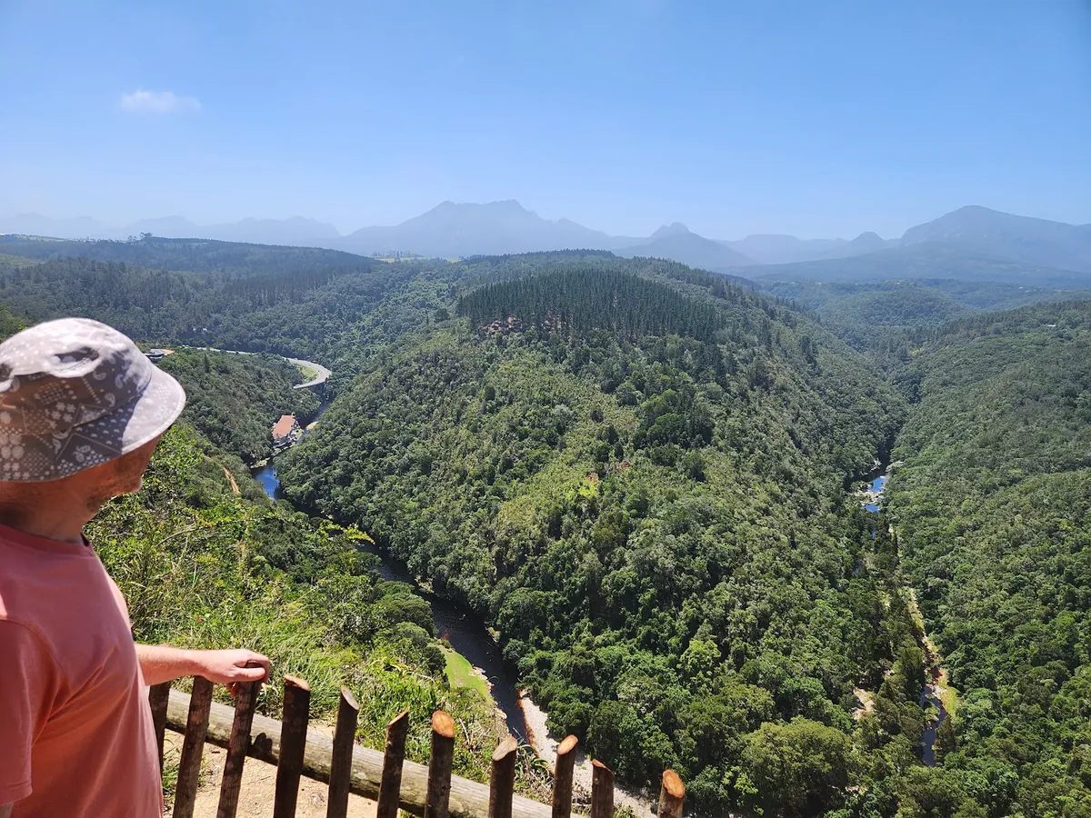 A visitor at the Map of Africa viewpoint looking over the forested Kaaimans River gorge towards the Outeniqua mountains